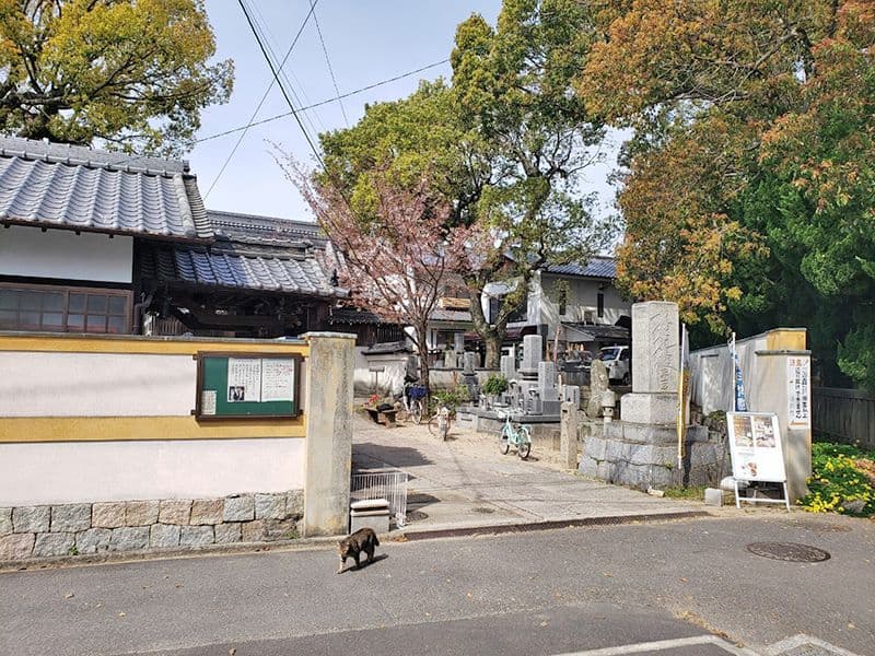 正念寺 のうこつぼ