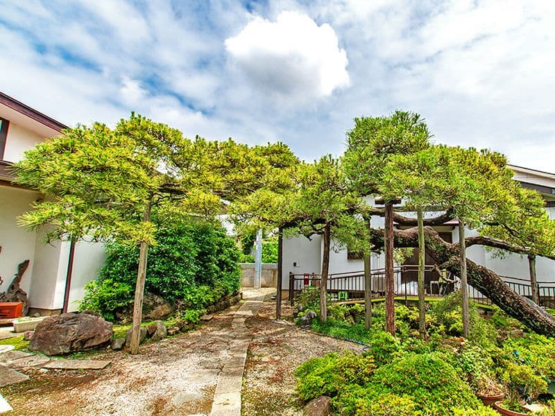 東泉寺