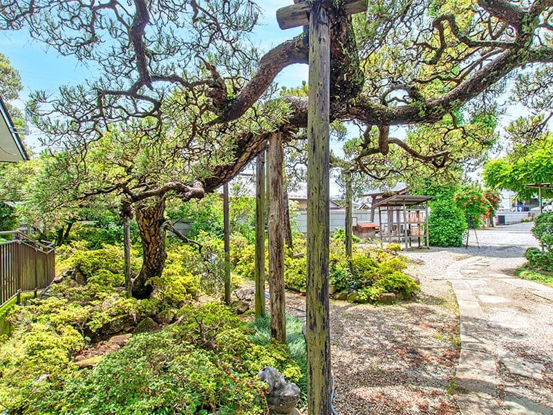 東泉寺