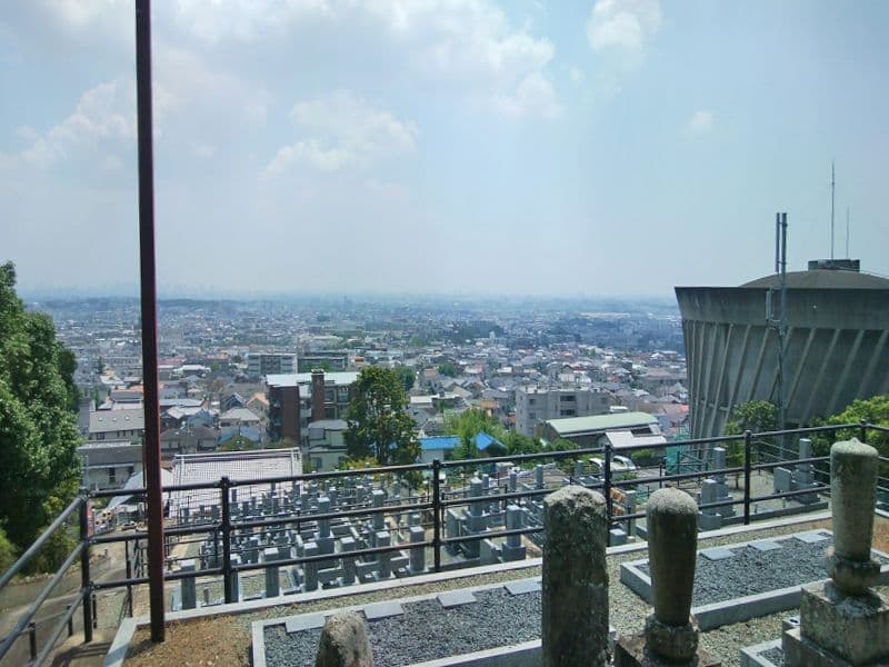 西秦共同墓地
