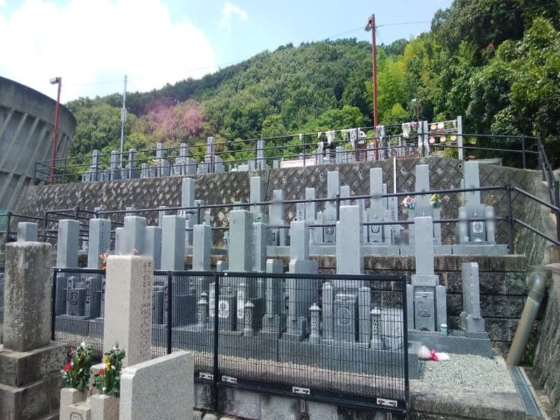 西秦共同墓地
