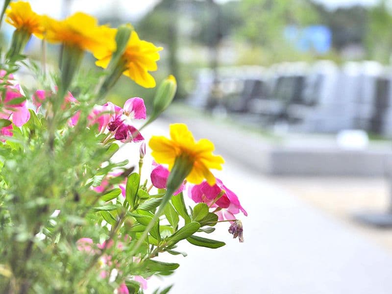 蓮田聖地霊園