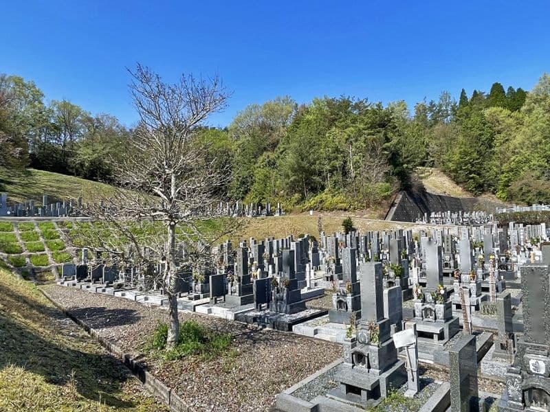 平和霊園 日当たり良好な墓地