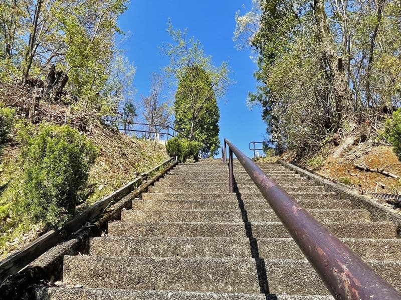 平和霊園 階段上に並ぶ高い木々