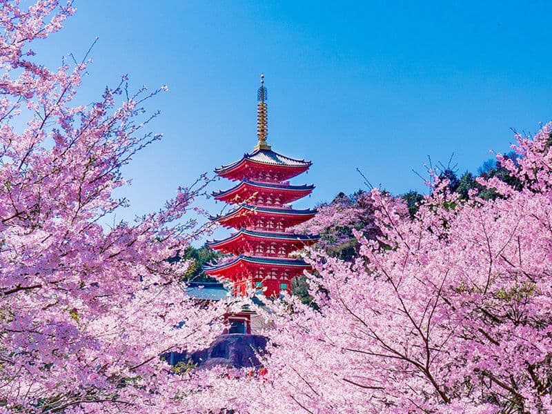 本福寺