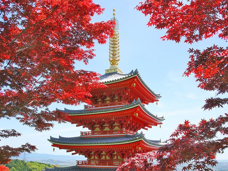 本福寺