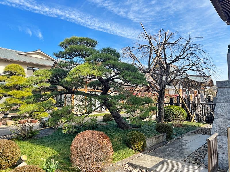 日蓮宗 江久山 感應寺(通称：蓮光院)