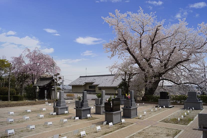 吉祥寺境内墓地 桜墓苑
