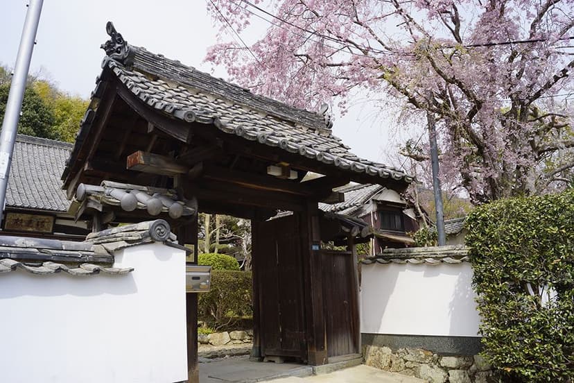 吉祥寺境内墓地 桜墓苑