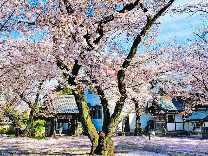 実相寺墓苑