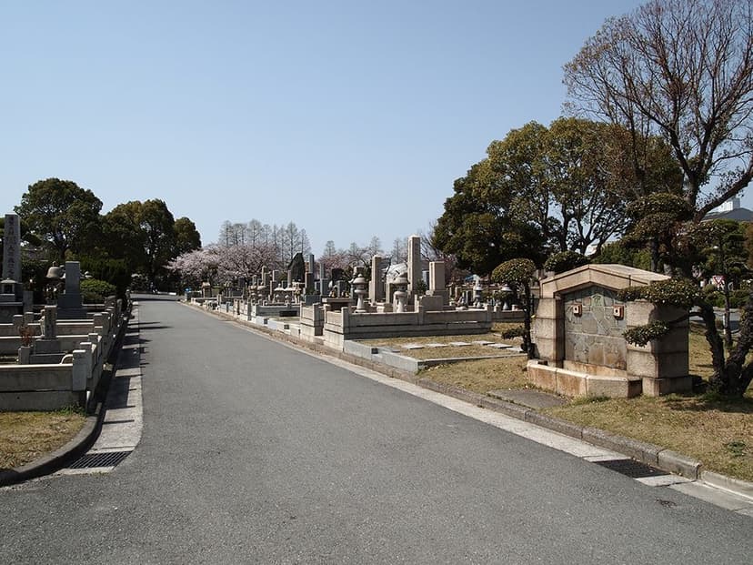 お墓の近くに車を横付けできる園内道路