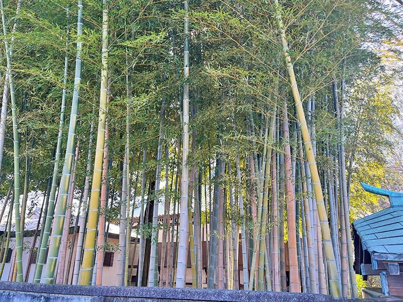 愛染院