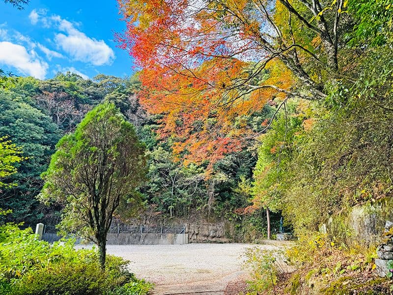 御橋観音寺 のうこつぼ