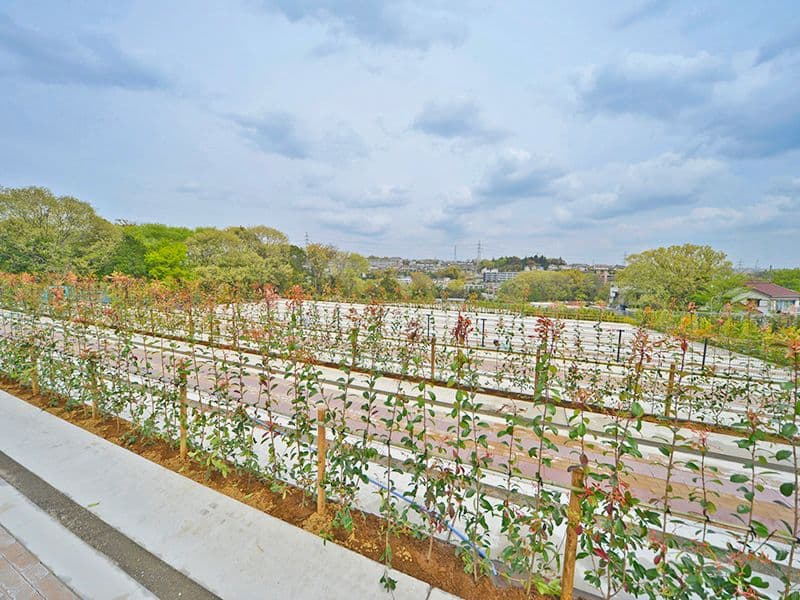 川崎清風霊園