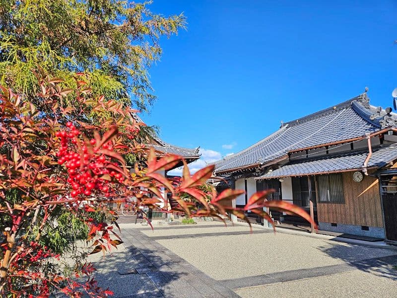 柳福寺 のうこつぼ