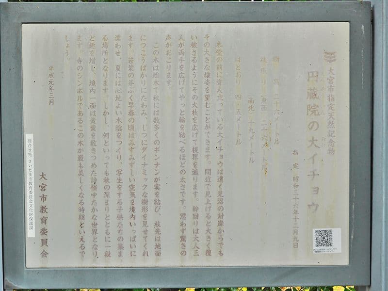 圓藏院 桜華苑
