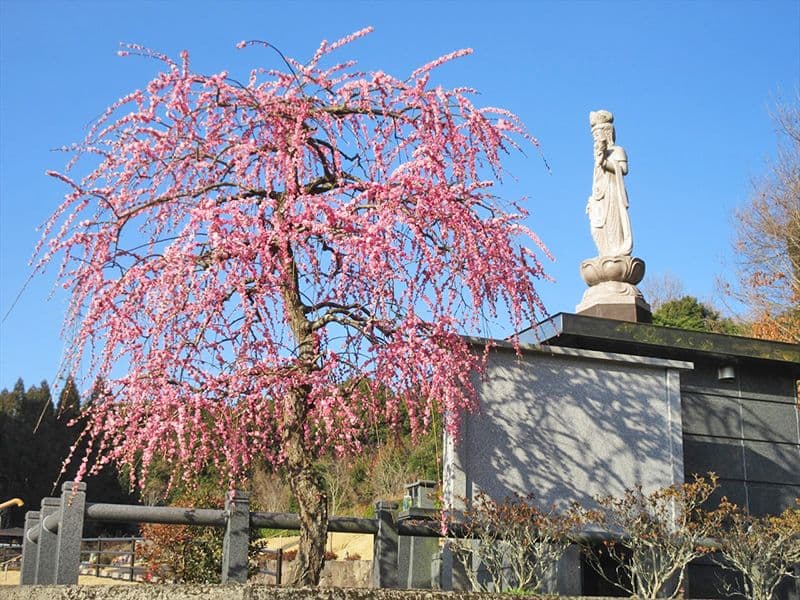 永代供養墓になります。