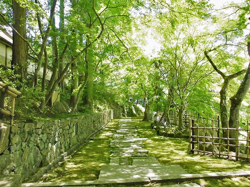 苗秀寺アショカ苑