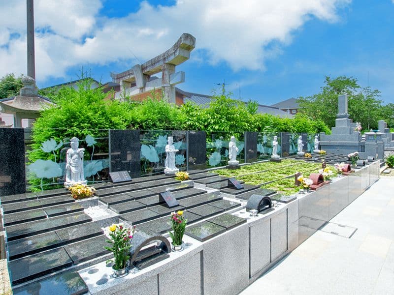 寒若寺