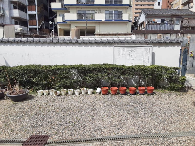 誓願寺