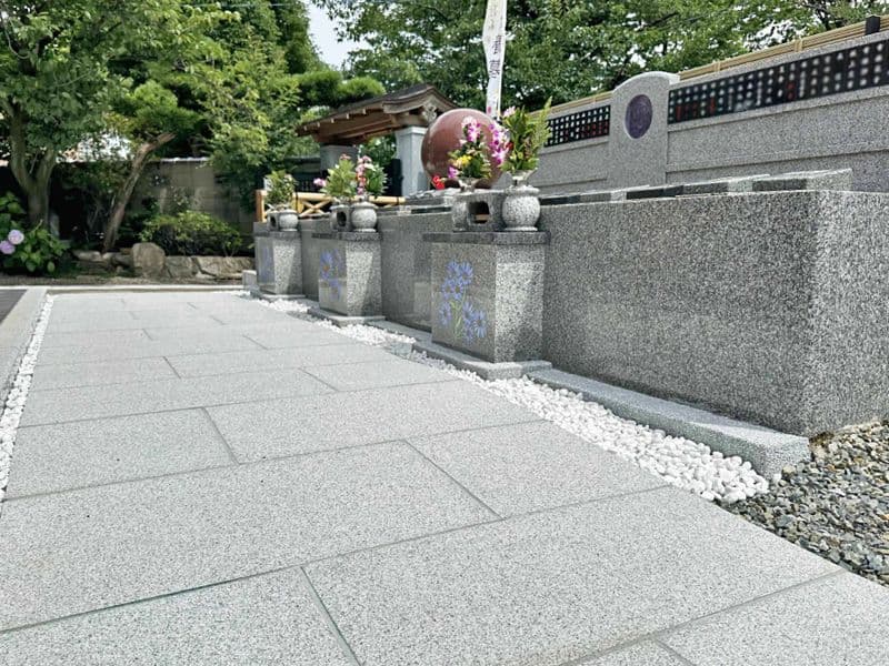 新高の紫苑