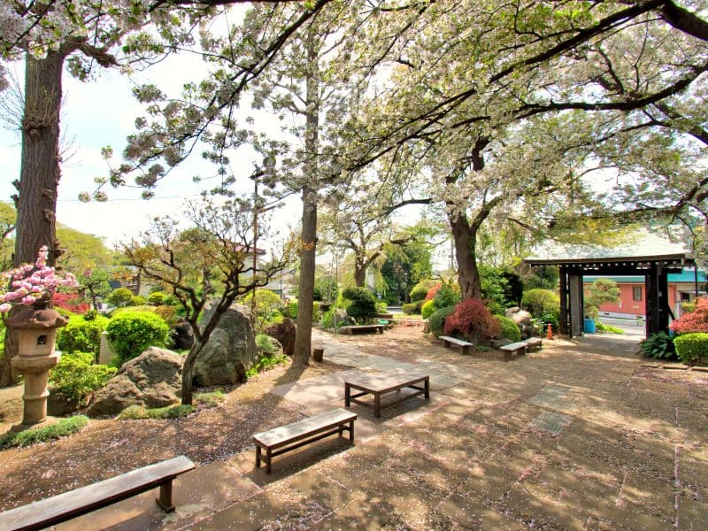 成城しだれ桜墓苑