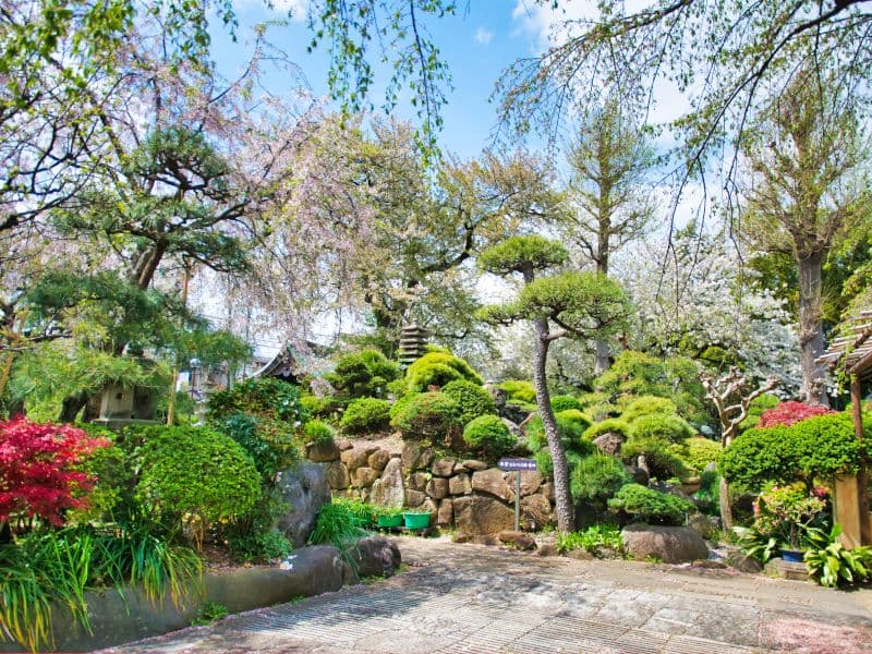 成城しだれ桜墓苑