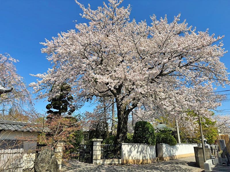 春日部永代供養墓霊園 東光院
