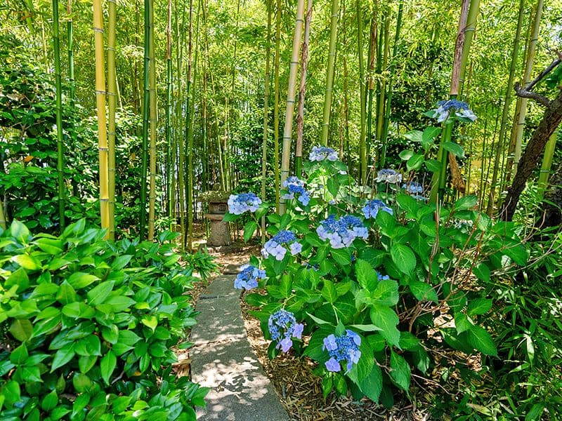 春日部永代供養墓霊園 東光院