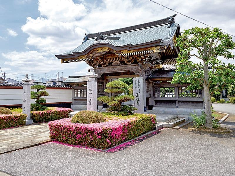 海福寺 樹木葬 杏樹
