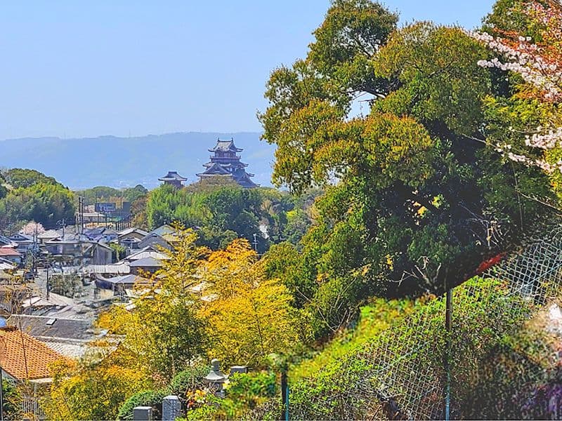 京都桃山霊苑
