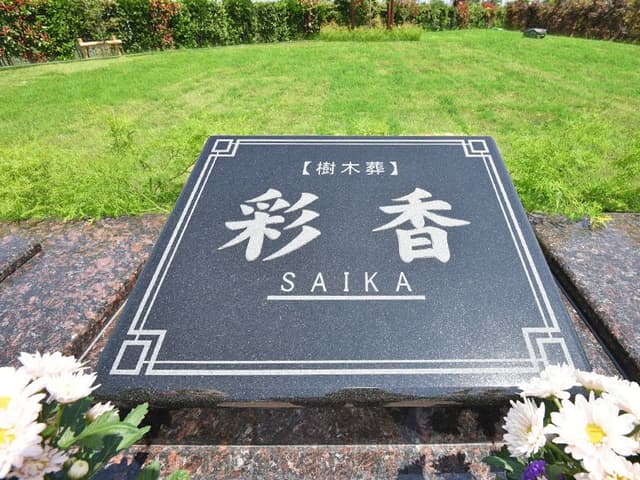 彩光浄苑