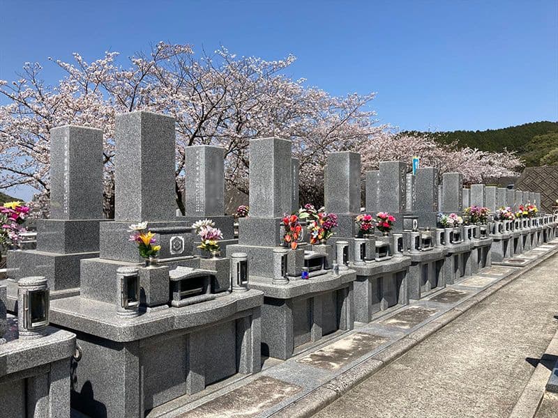 セット墓所