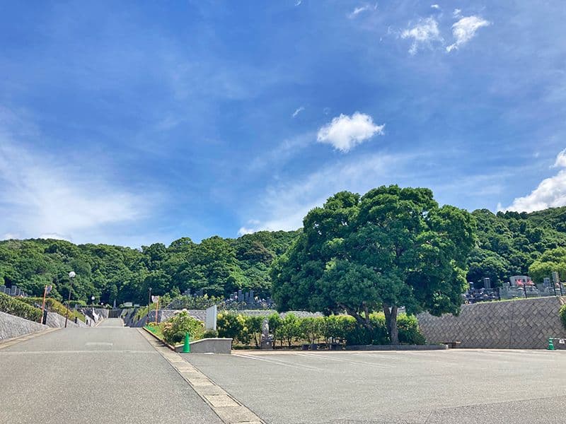 苑内風景