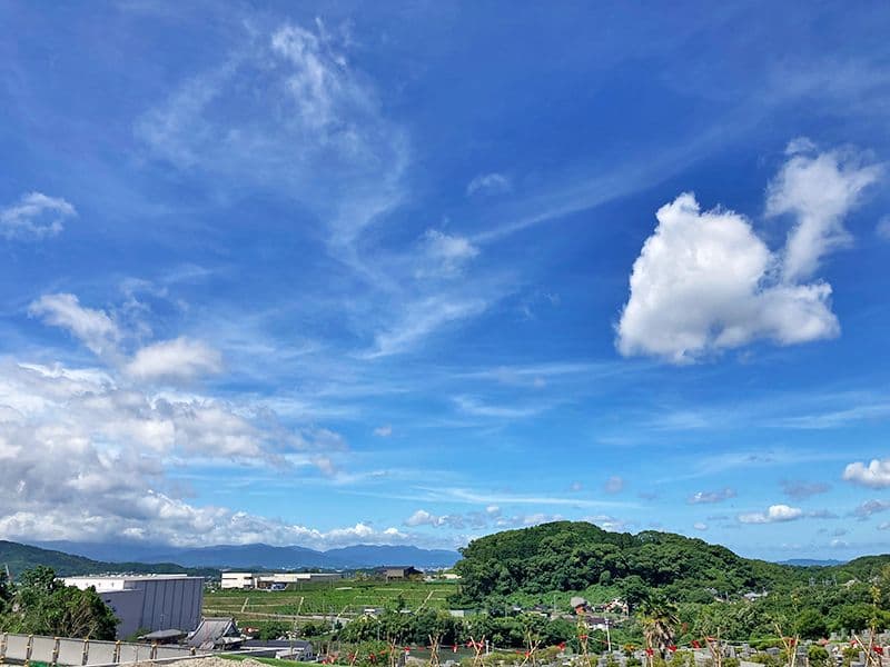 悠久の丘からの風景