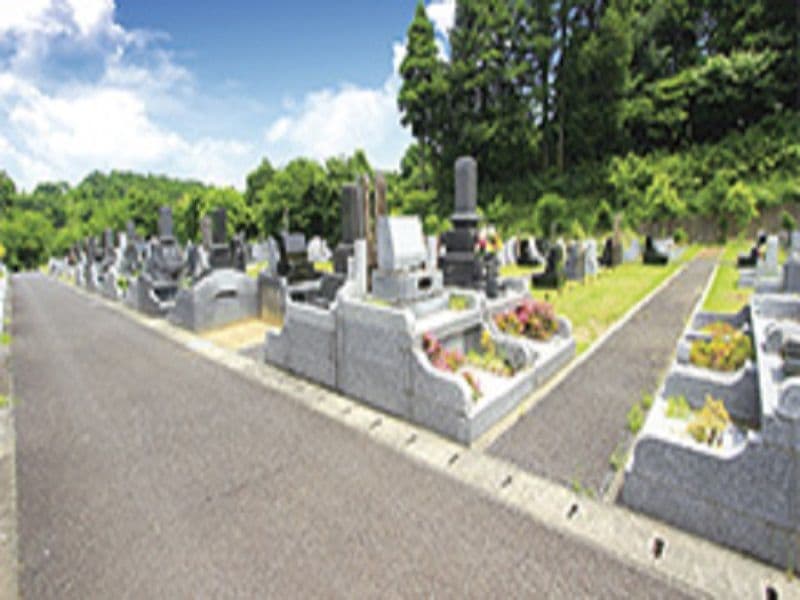 佐倉やすらぎの郷　水はけのよい参道