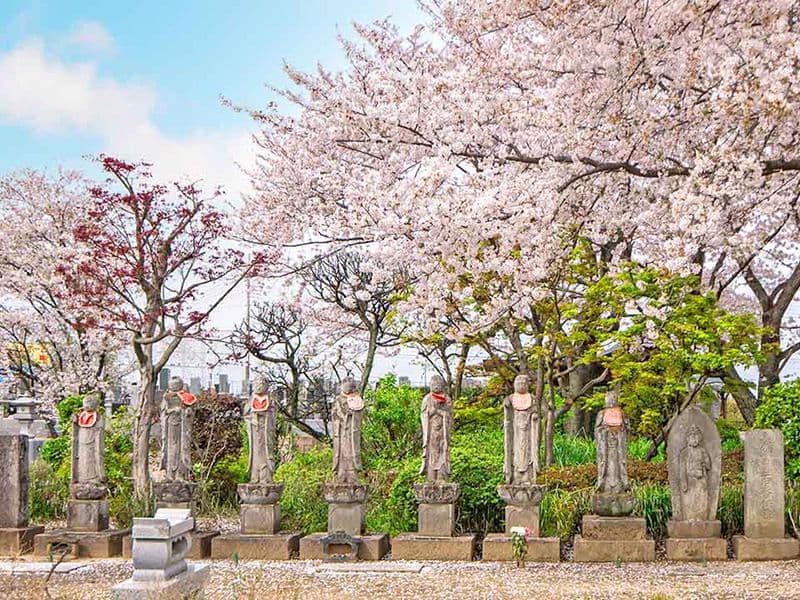 浄林寺