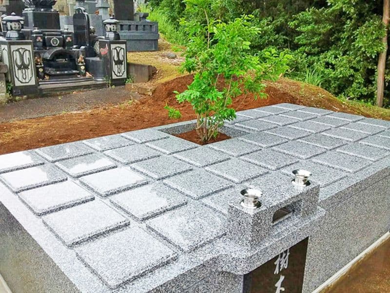 六萬部寺 王城山樹木葬