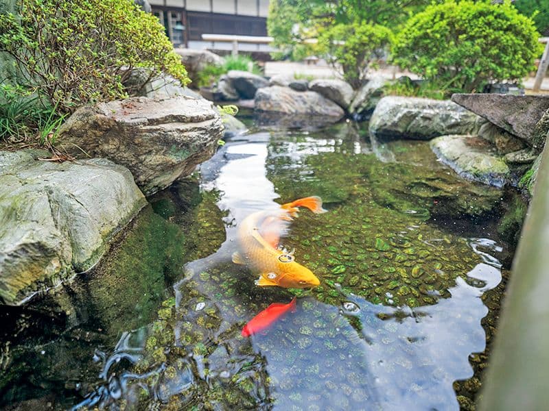 上尾永代供養墓霊園 昌福寺