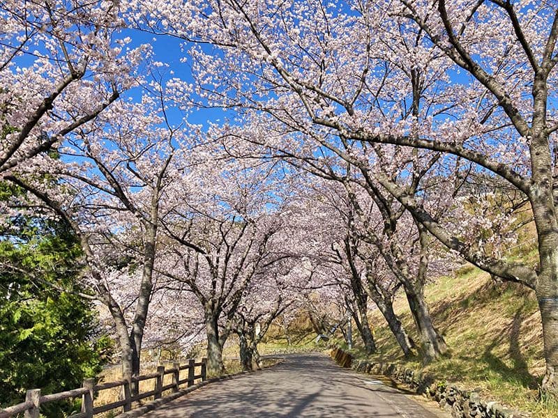 園内風景