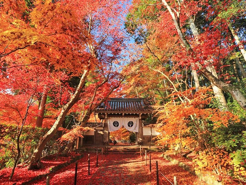光明寺墓地