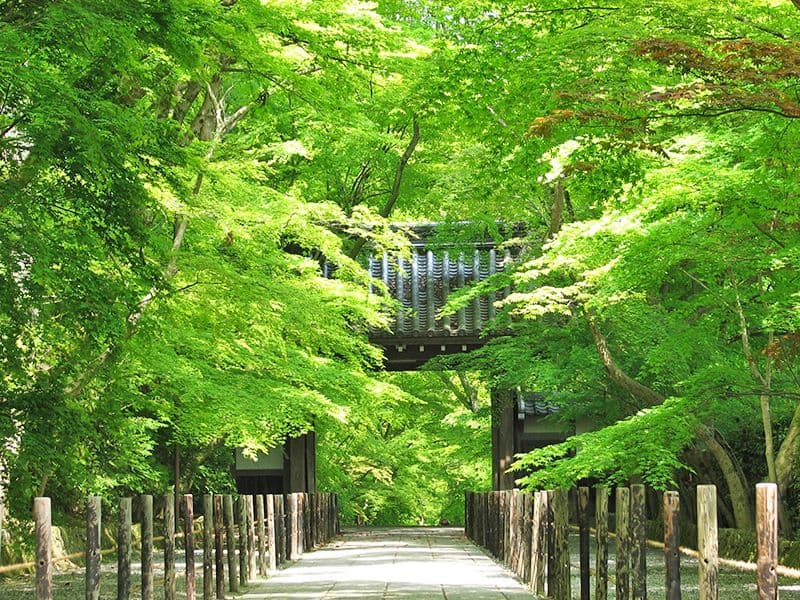 光明寺墓地