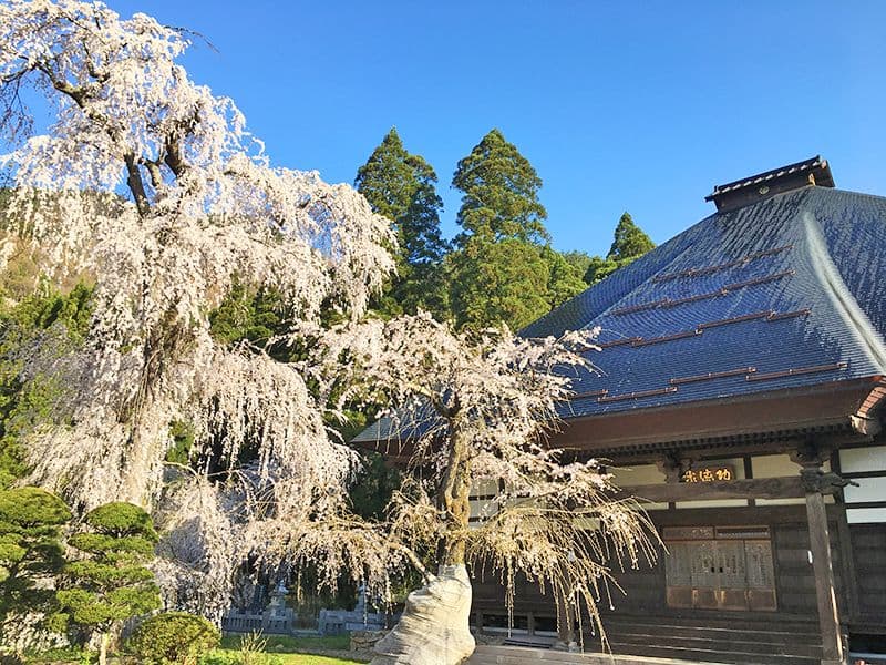 長玅寺 のうこつぼ