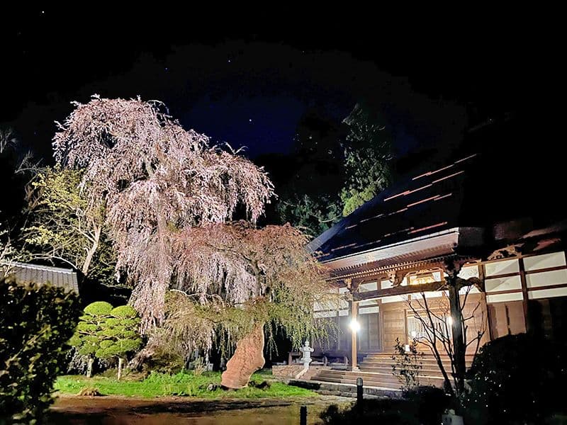 長玅寺 のうこつぼ
