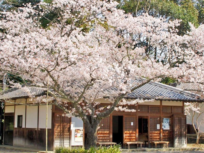 光明寺墓地
