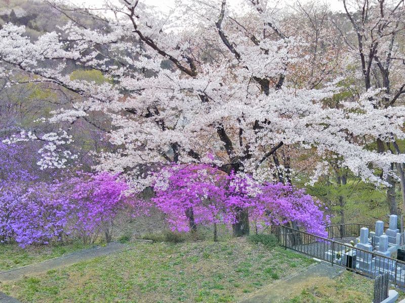 八王子 上川霊園
