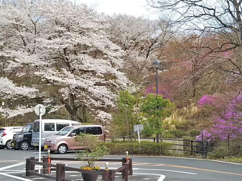 八王子 上川霊園