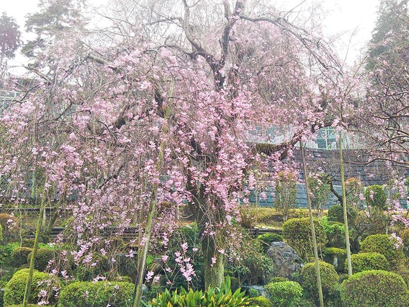 多摩川台墓苑