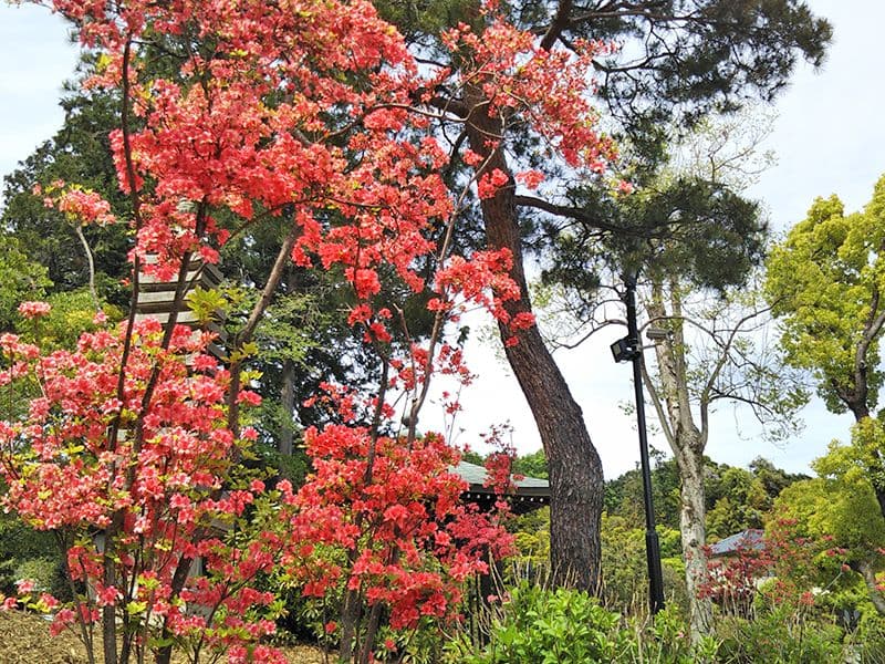 普門寺