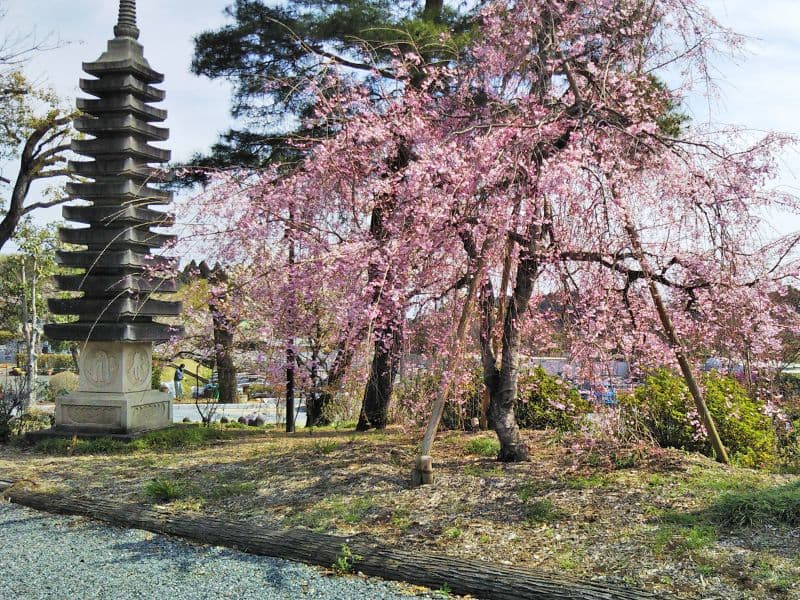 普門寺